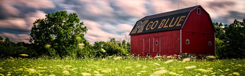 M Go Blue Barn, Ann Arbor, Michigan