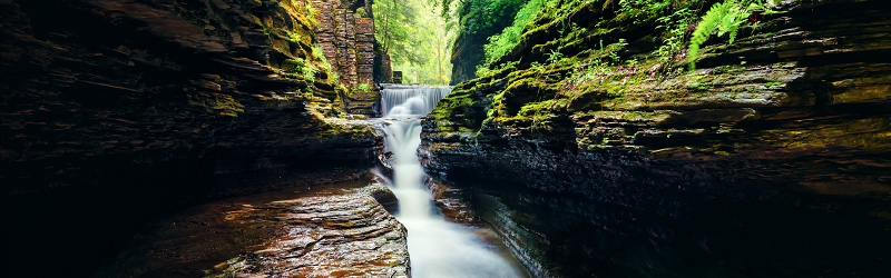 Treman State Park, Gorges of the Finger Lakes