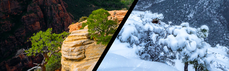 Angels Landing summit summer vs. winter